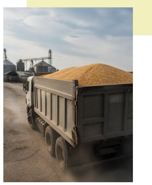 Перевозка сельхозпродукции навалом в Биробиджан по цене от 3041 р. | Агросервис-Брб