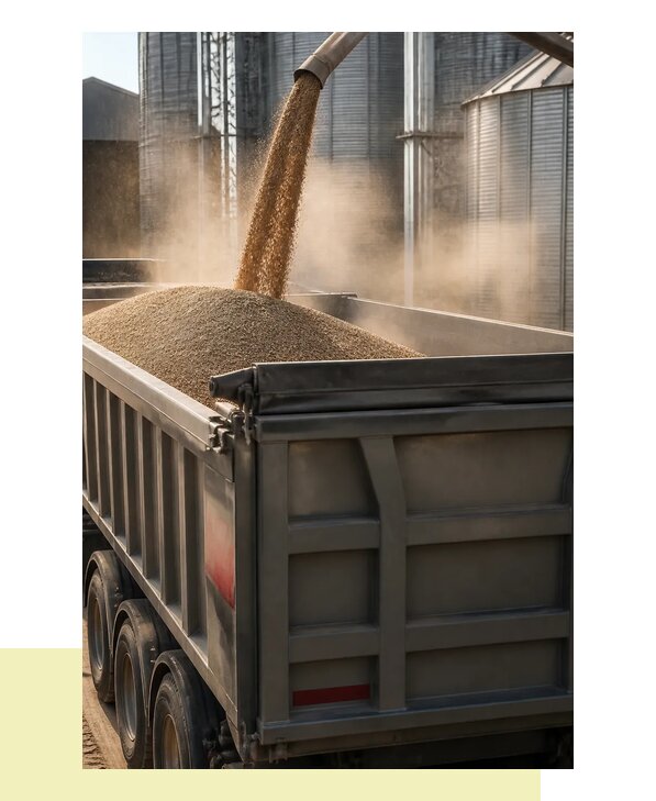 Перевозка зерносмеси в Биробиджан с гарантией сохранности груза
