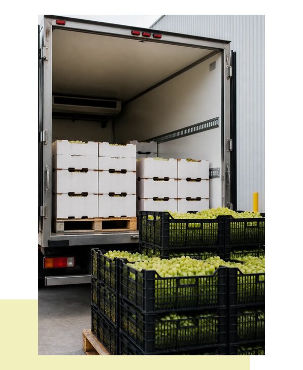 Перевозка винограда в Биробиджан с сохранением качества урожая